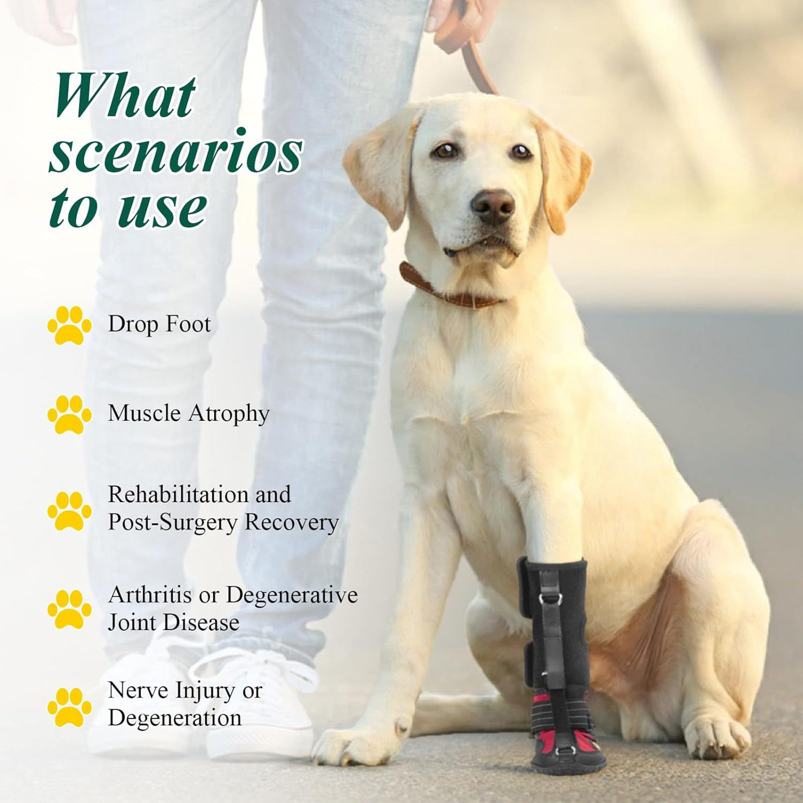 Pet Shoes,Pet Shoes for Paw Pr - Outdoor Adventure Wear 评论和价格