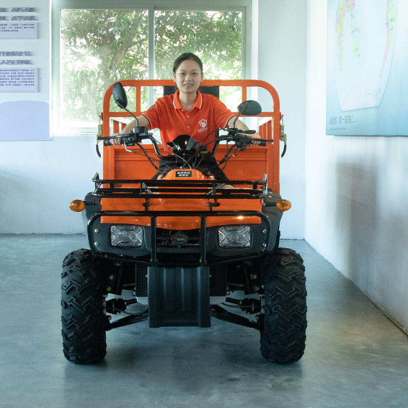 Electric 4x4 Farm Big Quad Bik - Outdoor Adventure Farm 评论和价格