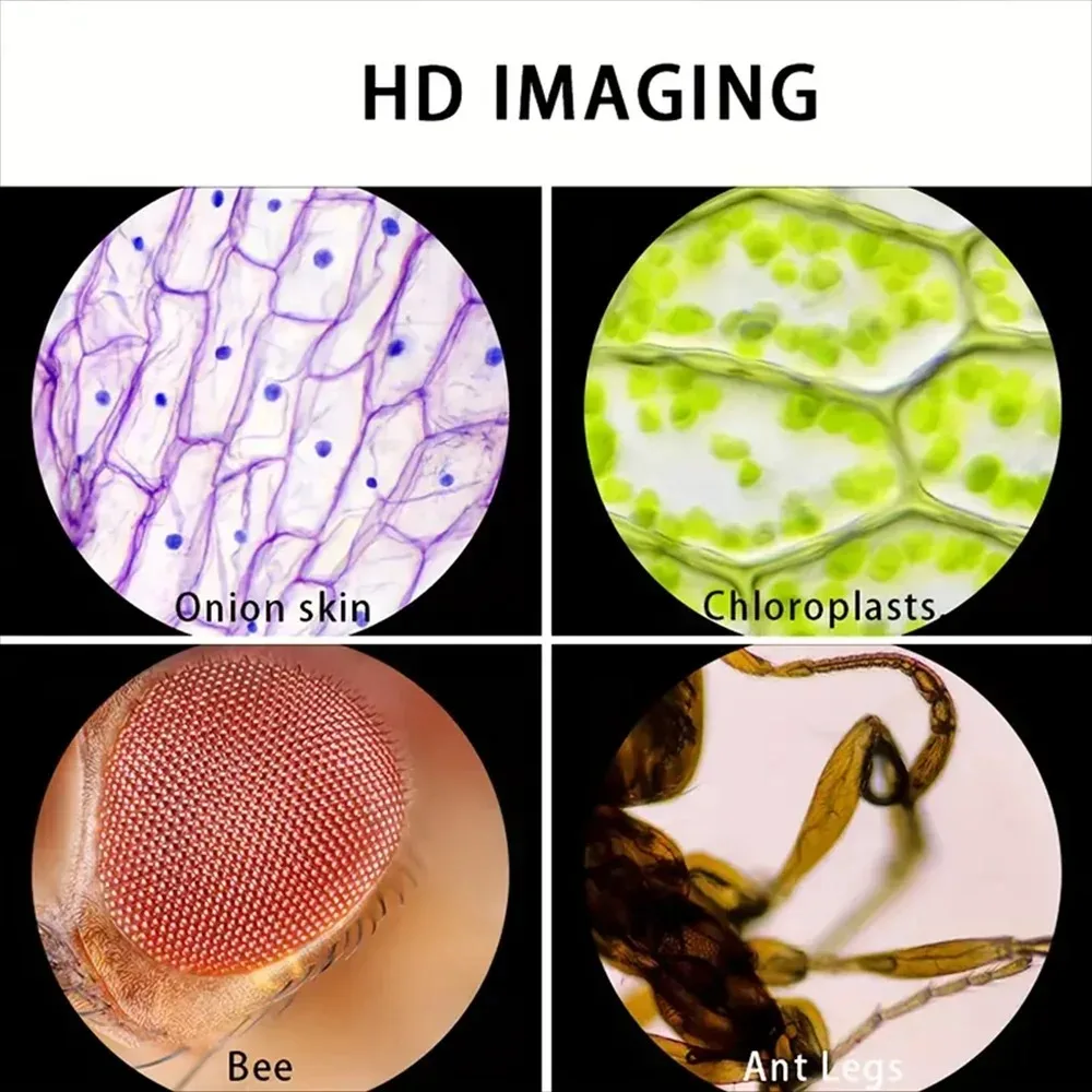 Pocket Microscope for Kids |   - Outdoor Adventure Microscope 评论和价格
