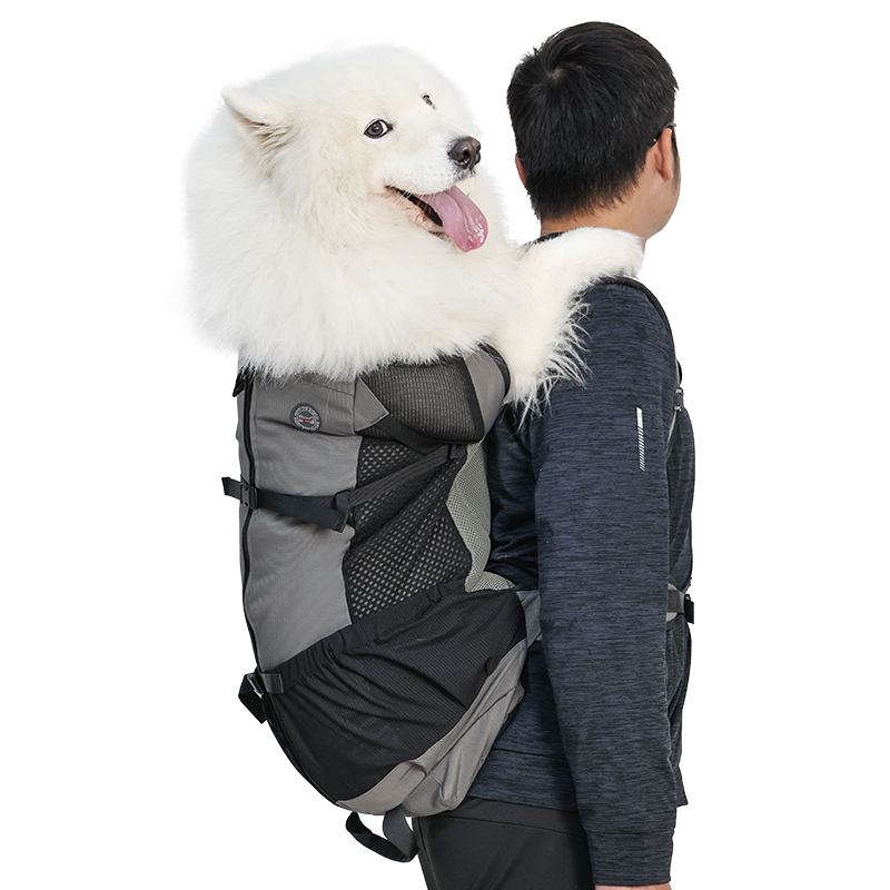 Custom Breathable Mesh Large D - Outdoor Adventure Farm 评论和价格
